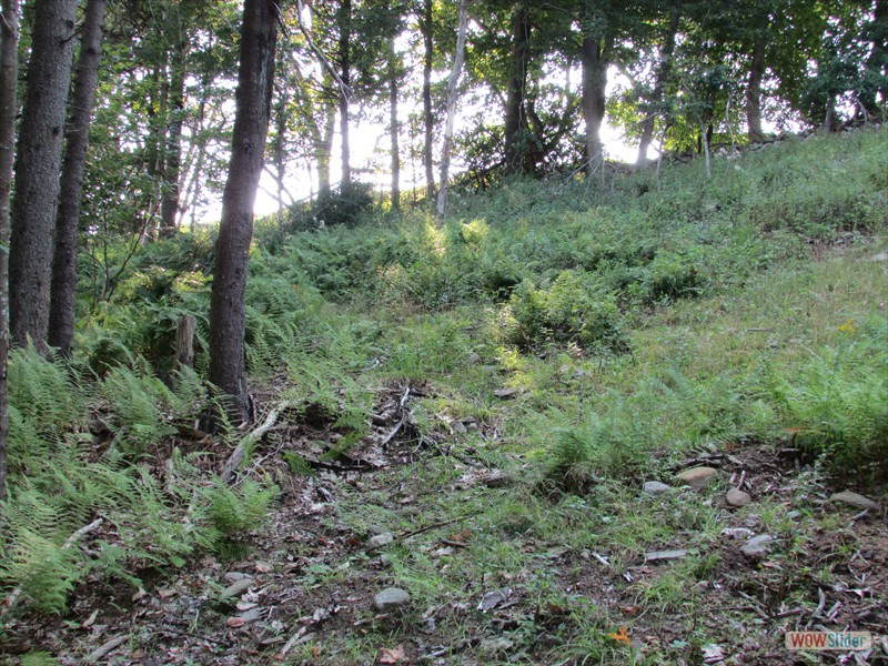 Whiteside Parcel - Furure Non-burial Open Space