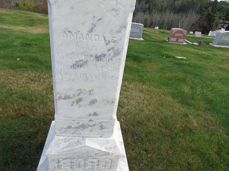 Charles and Belle Robinson monument